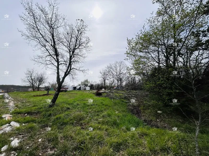 Terreno edificabile di 2762 m², Kremenje vicino a Momjan – vista aperta, vicinanza al paese, in vendita. – 2