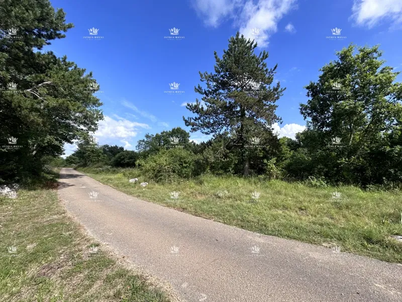 Terreno edificabile di 1000 m² in posizione attrattiva - MARTINČIĆI, GROŽNJAN, ISTRIA. – 2