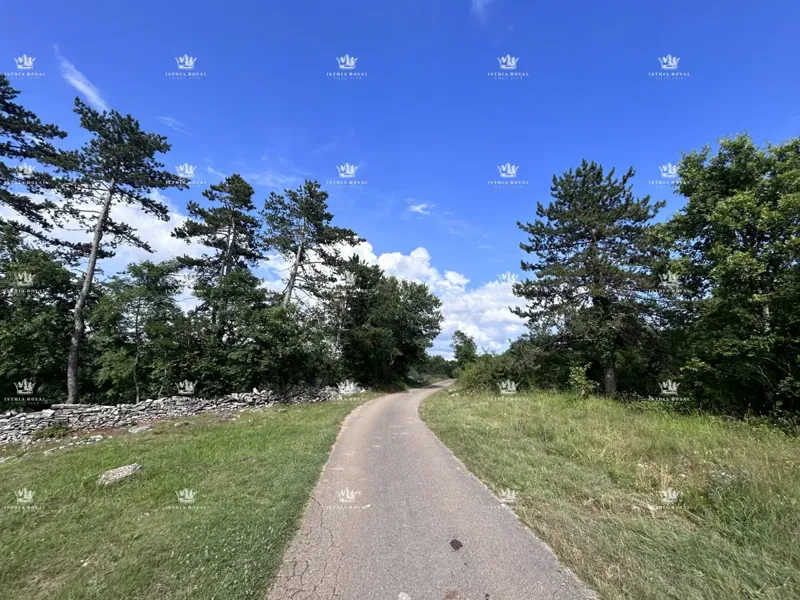 Terreno edificabile di 1000 m² in posizione attrattiva - MARTINČIĆI, GROŽNJAN, ISTRIA. – 3