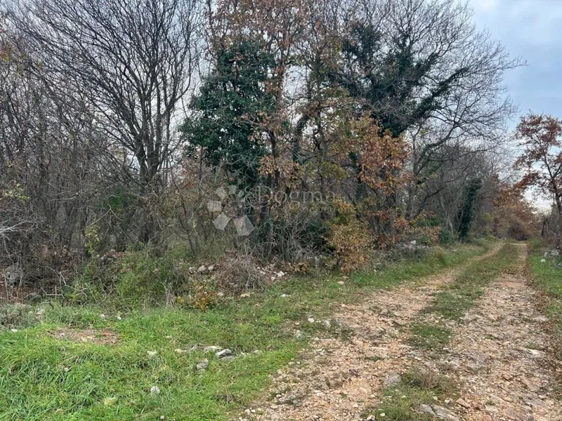 Ziemia rolna Krnica, Marčana, 10.919m2 – 2
