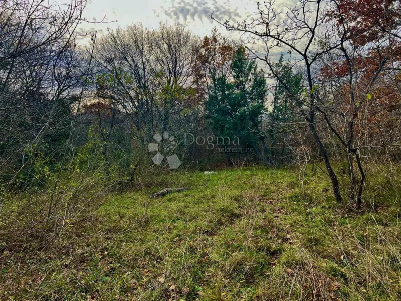 Ziemia rolna Krnica, Marčana, 10.919m2 – 3