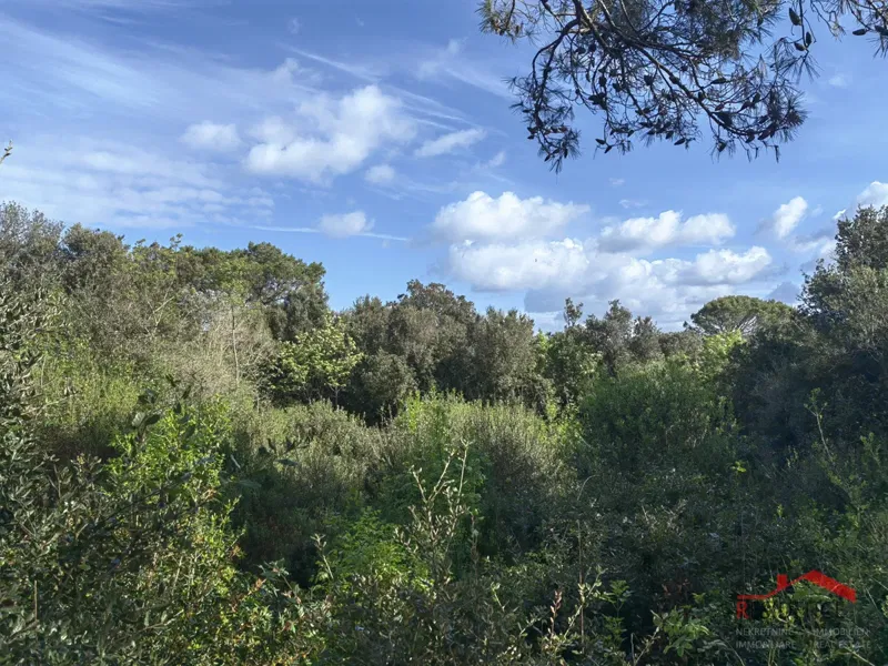 Štinjan, terra ai margini dell'urbanizzazione – 2