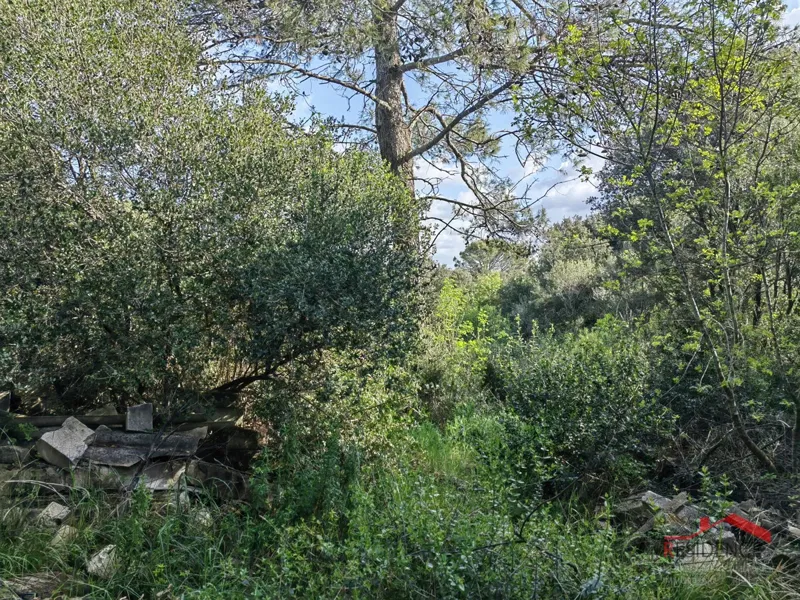 Štinjan, terra ai margini dell'urbanizzazione – 3