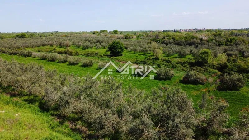 Umag, Baugrundstück in attraktiver Lage in Meeresnähe – 2