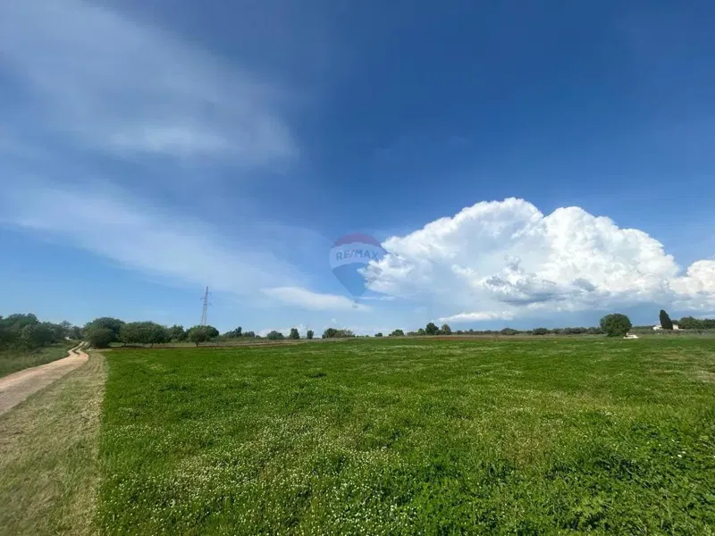 Terreno edificabile Tar, Tar-Vabriga, 5.086m2 – 2