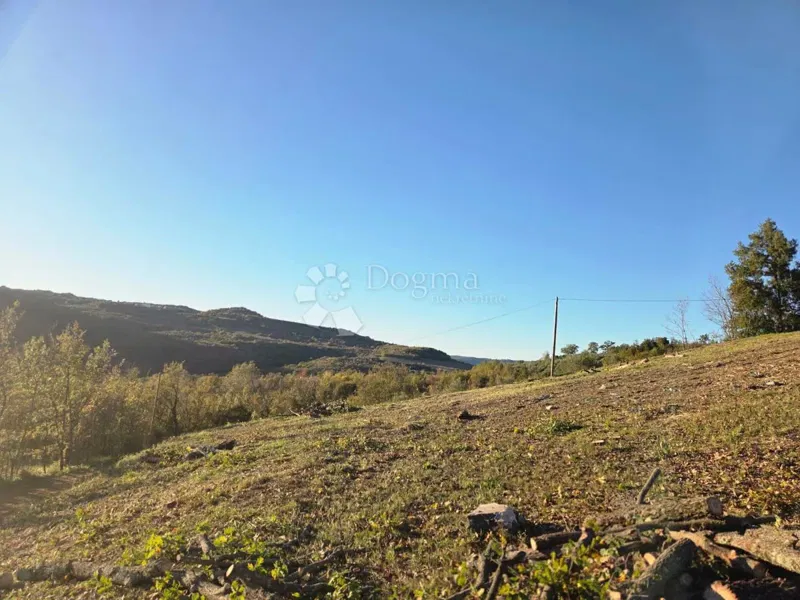 Peaceful land with a project in Motovun – 2