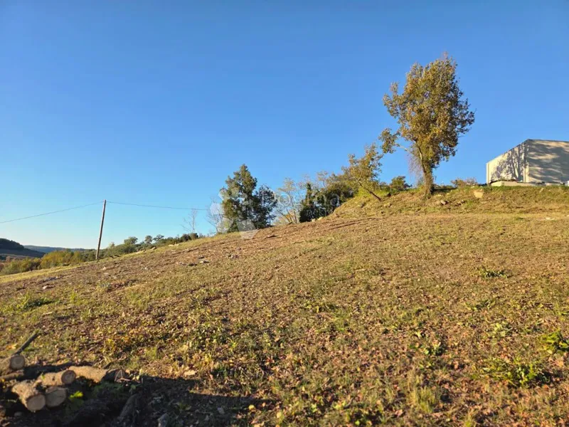 Peaceful land with a project in Motovun – 3