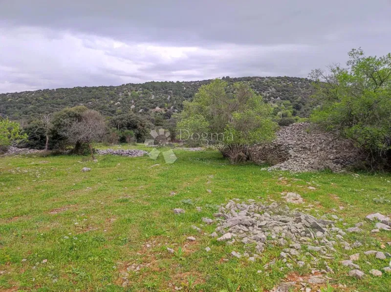 Terreno agricolo Selca, 11.274m2 – 2