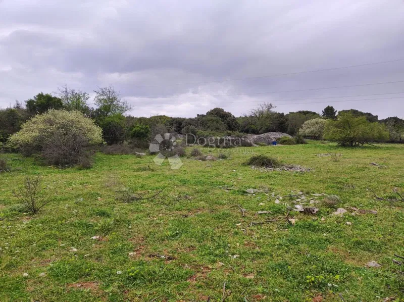 Terreno agricolo Selca, 11.274m2 – 3