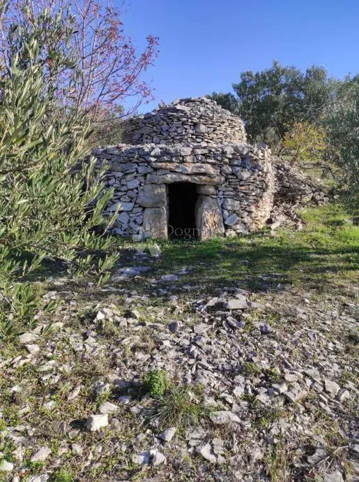 Ziemia rolna Sutivan, 7.989m2 – 2
