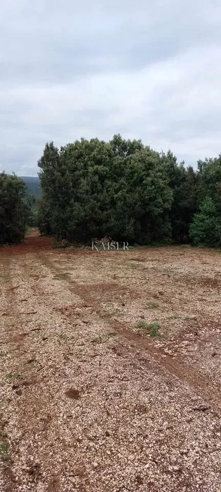 Isola di Cherso, Stivan, terreno agricolo 12.229 m2