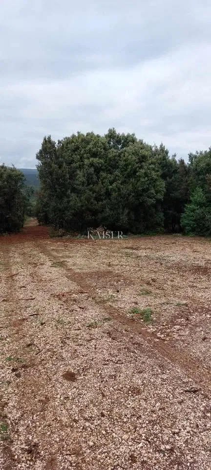 Otok Cres, Stivan, poljoprivredno zemljište 12.229 m2