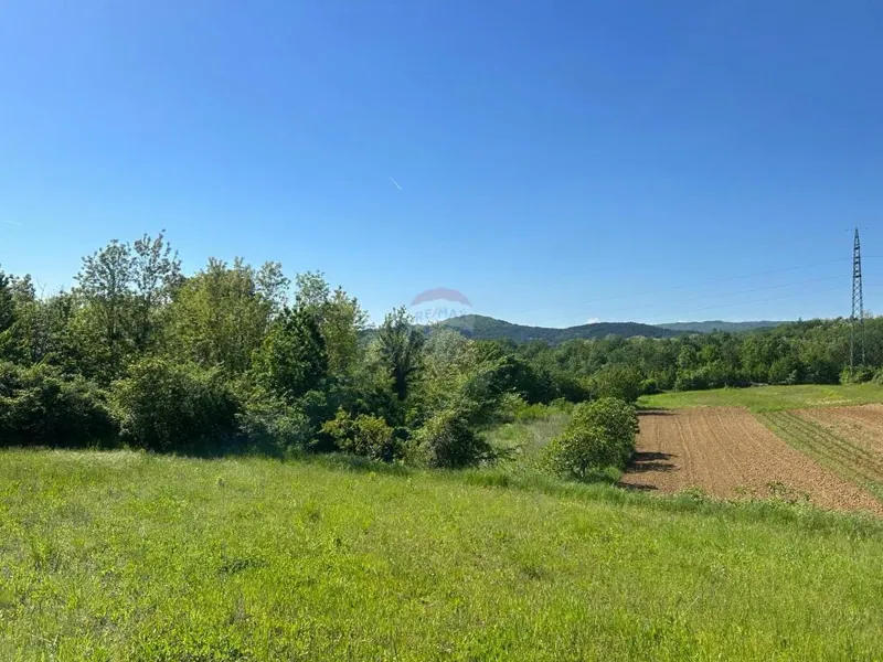Terreno edificabile Vrh, Buzet, 1.630m2 – 3