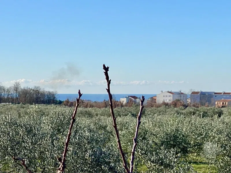 10,324 m2 AGRICULTURAL ESTATE WITH OLIVE GROVES, SEA VIEWS, AND LEGALIZED FACILITY: OASIS OF PEACE JUST 3.5 KM FROM NOVIGRAD! – 2