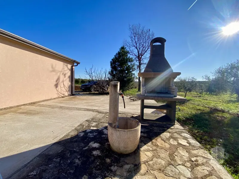 10,324 m2 AGRICULTURAL ESTATE WITH OLIVE GROVES, SEA VIEWS, AND LEGALIZED FACILITY: OASIS OF PEACE JUST 3.5 KM FROM NOVIGRAD! – 3