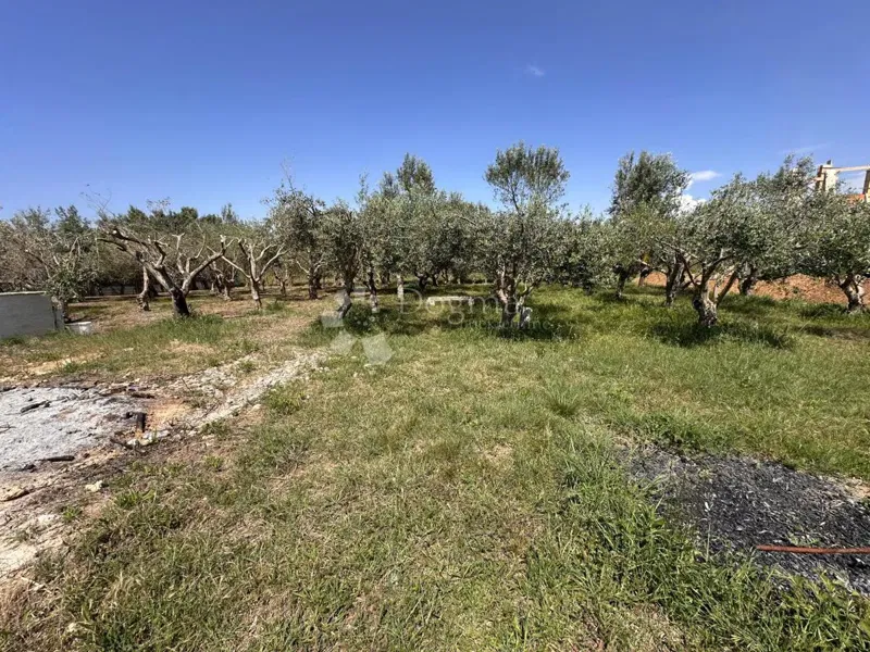 Building land Sabunike, Privlaka, 1.019m2 – 2