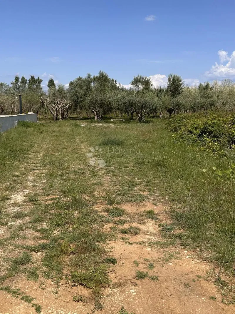Building land Sabunike, Privlaka, 1.019m2 – 3