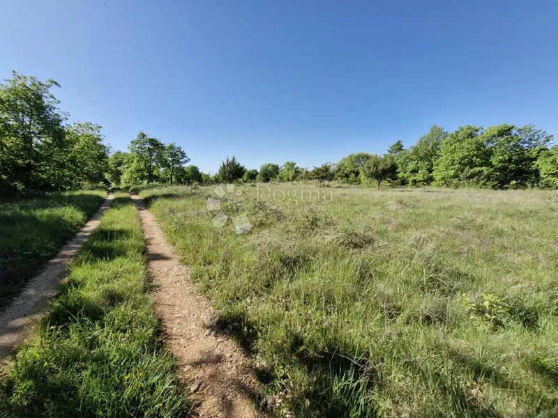 Mezőgazdasági terület Svetvinčenat, 1.480m2 – 2