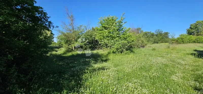 Mezőgazdasági terület Svetvinčenat, 1.314m2 – 2