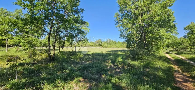 Agricultural land Svetvinčenat, 1.314m2 – 2