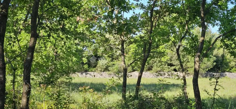 Agricultural land Svetvinčenat, 1.314m2 – 3