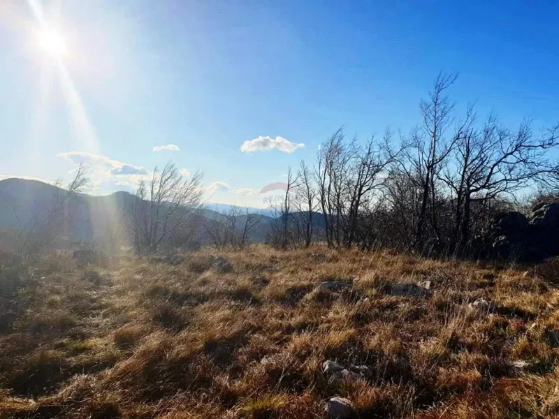 Non-structural plot Hreljin, Bakar, 20.000m2 – 2