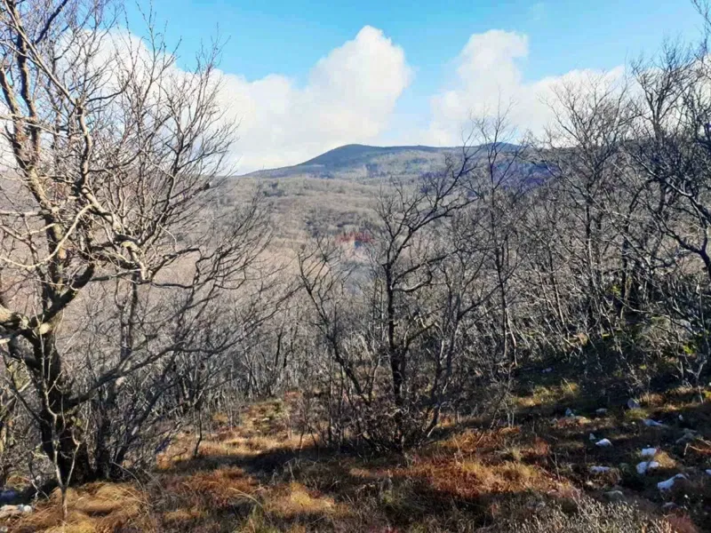Non-structural plot Hreljin, Bakar, 20.000m2 – 3