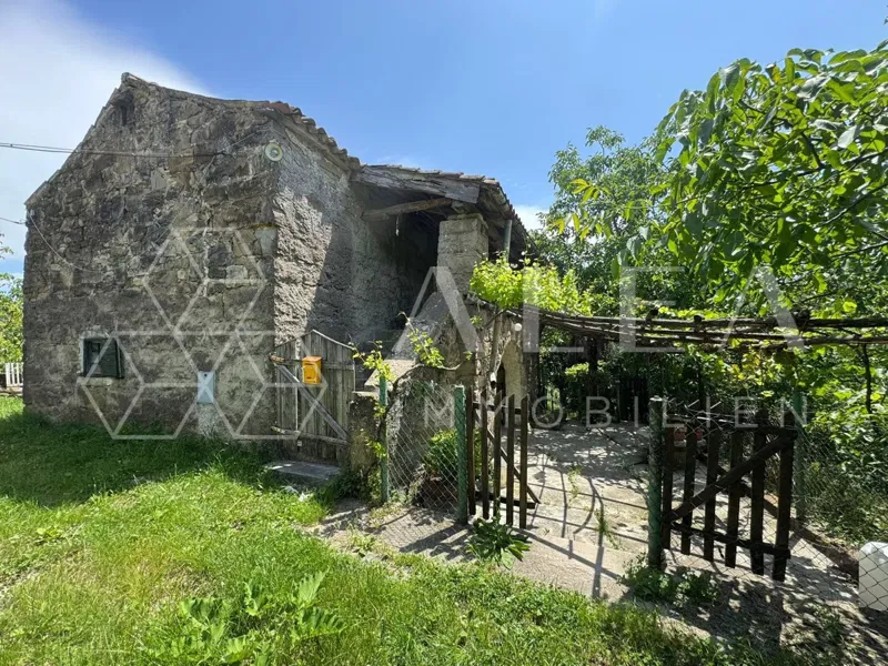 Casa Paz – 2