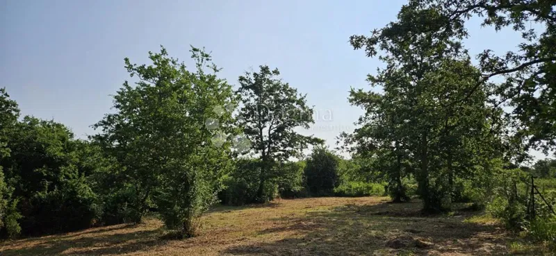 Terreno Cukrići, Svetvinčenat, 1.600m2 – 2