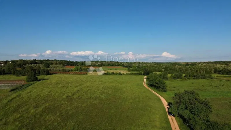 Сельскохозяйственная земля Kaštelir, Kaštelir-Labinci, 32.620m2 – 2