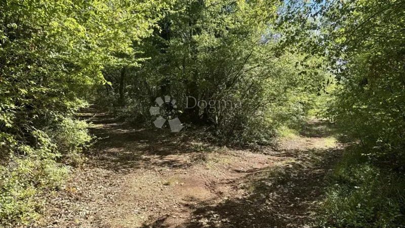 Terreno Nova Vas, Poreč, 15.530m2 – 3