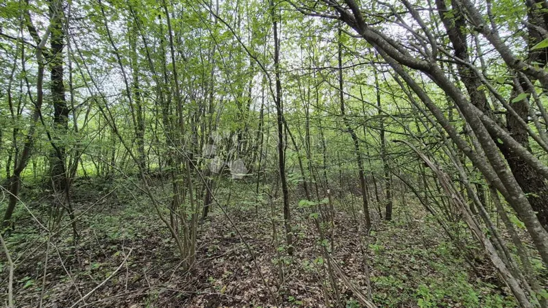 Agricultural land Brušane, Gospić - Okolica, 6.000m2 – 2