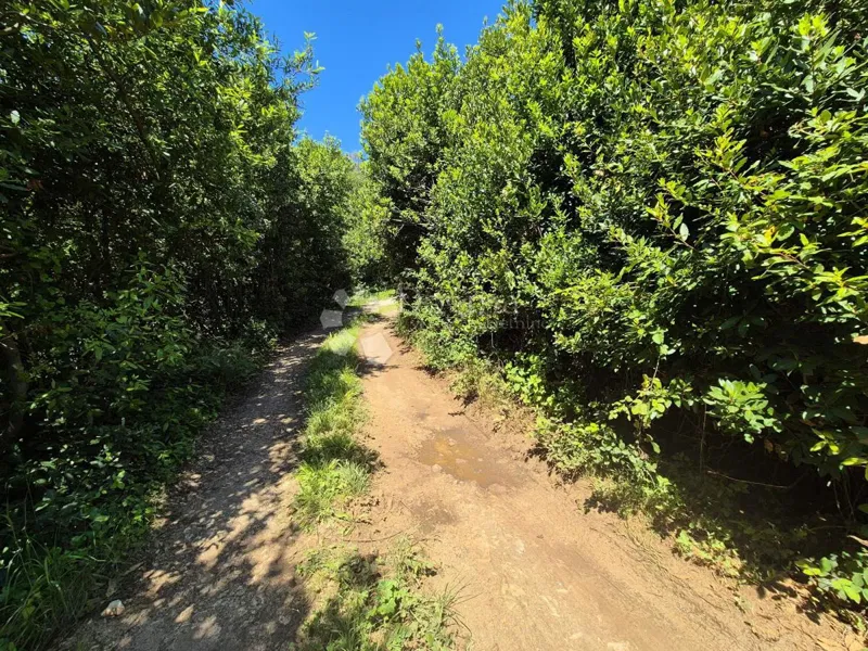 Teren budowlany Plomin, Kršan, 1.020m2 – 2