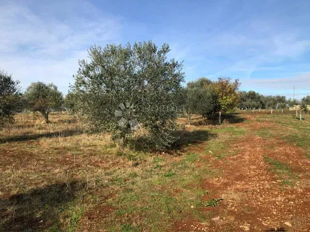 Építési telek Umag, 9.375m2 – 2