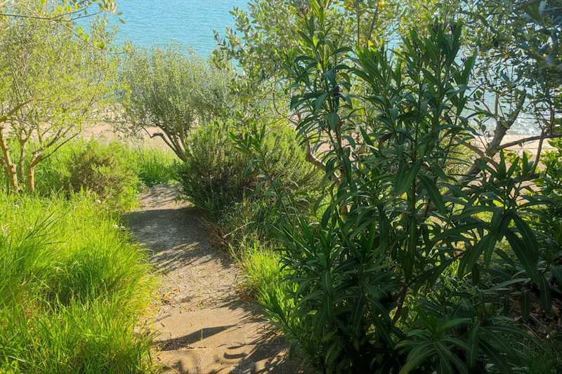 Land first row to the sea – 2