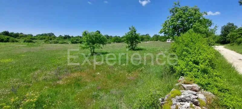 Terreno agricolo vicino a Baderna – posizione ideale vicino alla ZONA EDIFICABILE! – 3