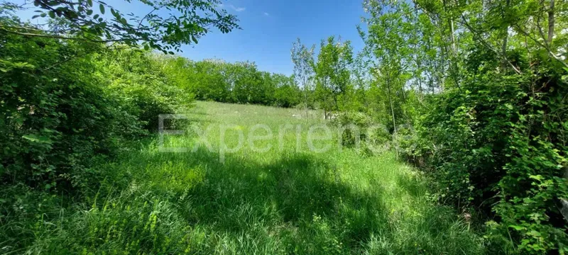 Terreno agricolo vicino a Baderna – posizione ideale vicino alla ZONA EDIFICABILE! – 2