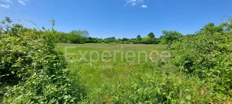 Terreno agricolo vicino a Baderna – posizione ideale vicino alla ZONA EDIFICABILE! – 3