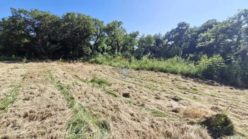 Terreno non edificabile Barbariga, Vodnjan, 616m2 – 2
