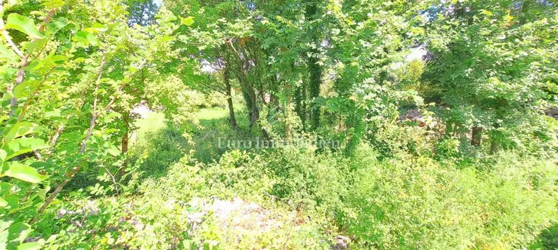 Telek Malinska – 3