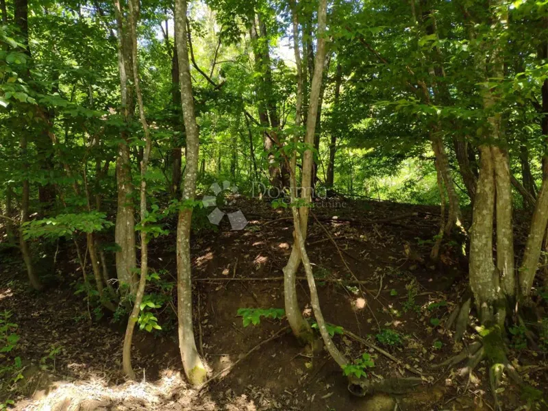 Building land Stipan, Gvozd, 62.781m2 – 2