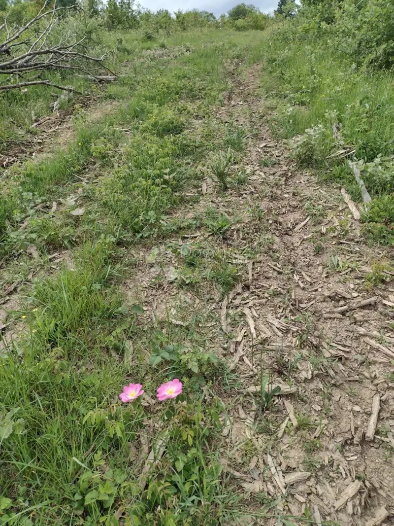 Building land Stipan, Gvozd, 62.781m2 – 3