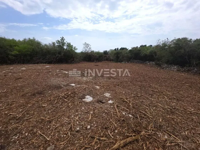 Zona di Fasana, Peroi, bosco a 450 m dal mare – 2