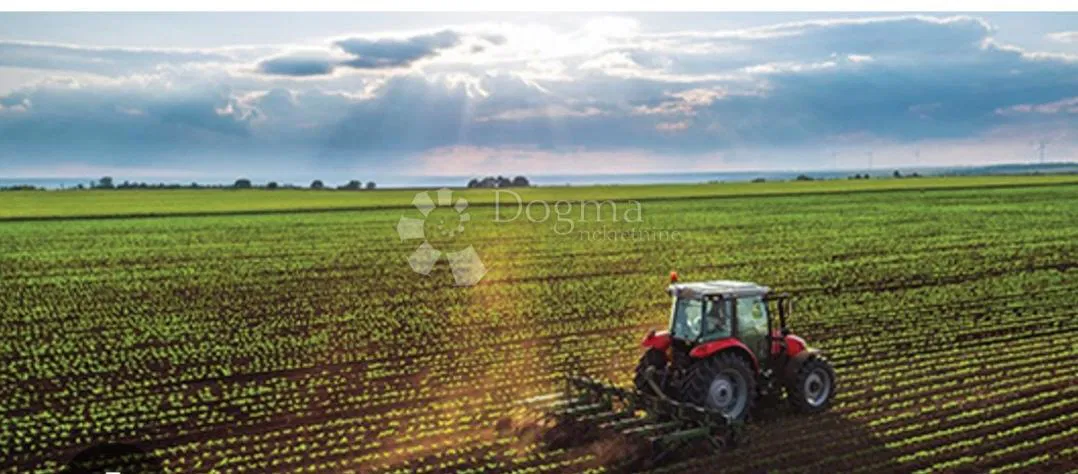 Mezőgazdasági terület Centar, Vukovar, 4.600m2