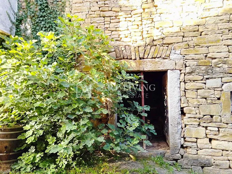 Buzet, okolica - autohtona kamena kuća za renovaciju-PRILIKA! – 3