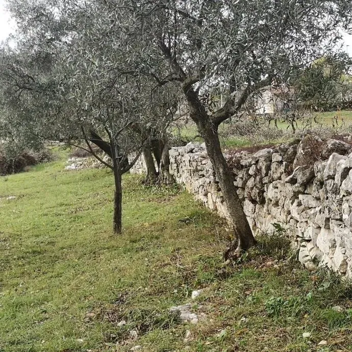 Pozemok Fažana – 2