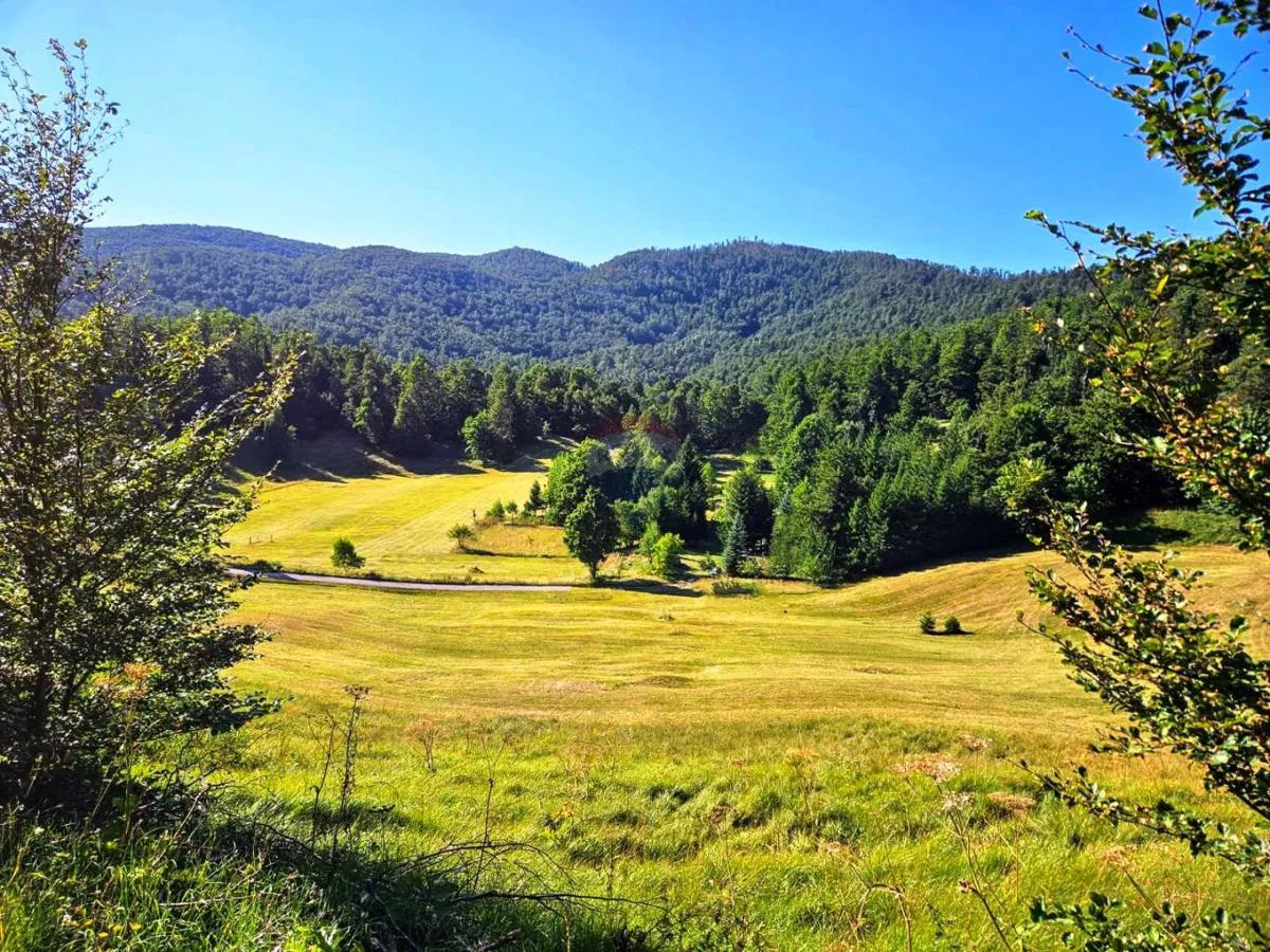 Lepenice - Jelenje, građevinski teren od 5004m2