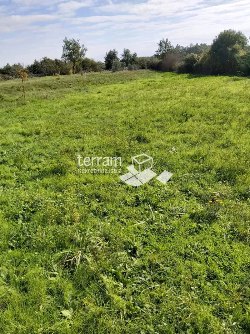 Istria, Žminj, Cere, terreno edificabile, 660 m2, in vendita – 2
