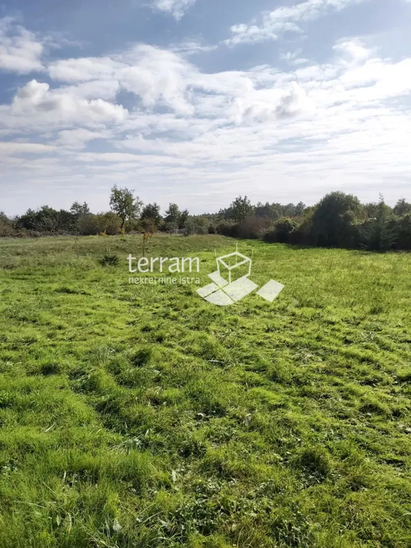 Istria, Žminj, Cere, terreno edificabile, 660 m2, in vendita – 3