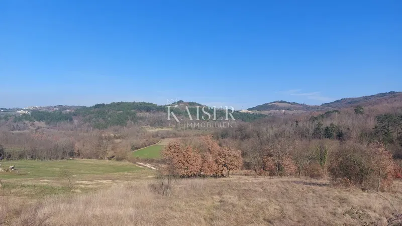 Istria, Motovun area, Karojba - building land, 1,990 m2 – 3